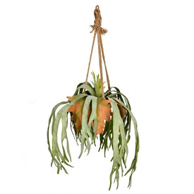 22" Artificial Staghorn Fern in Hanging Ceramic Pot