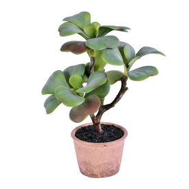 14" Artificial Green Succulent in Paper Pot