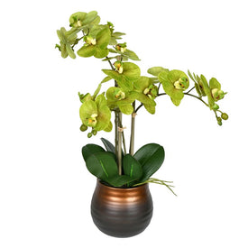 Vickerman 22" Artificial Potted Real Touch Green Phalaenopsis Spray.