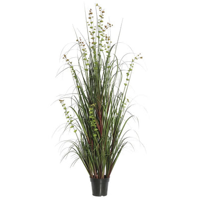 Product Image: TN170260 Decor/Faux Florals/Plants & Trees