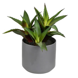 Vickerman 10" Artificial Green Aloe Plant.