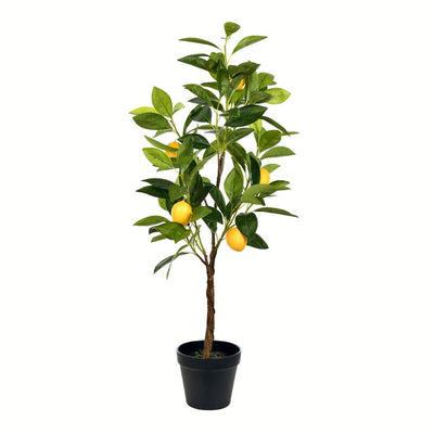 Product Image: TA190128 Decor/Faux Florals/Plants & Trees