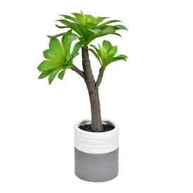 15" Artificial Succulent in Ceramic Pot