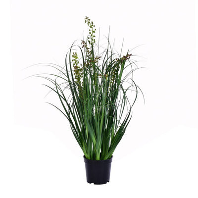 Product Image: TN171224 Decor/Faux Florals/Plants & Trees