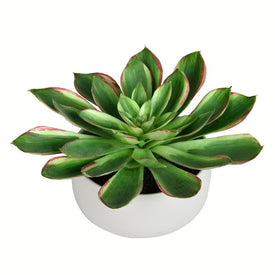 10" Artificial Potted Green Succulent