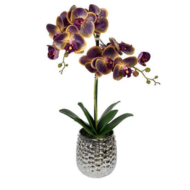 20.5" Artificial Potted Real Touch Purple Phalaenopsis Spray