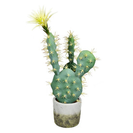 18" Artificial Green Cactus in Cement Pot