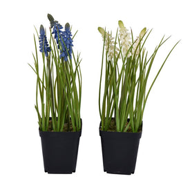 11" Artificial Hyacinth in Black Plastic Planter's Pots Set of 3