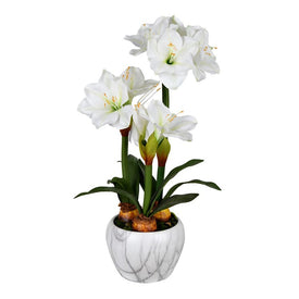 25" Artificial White Amaryllis Floral Arrangement