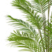 TB190780 Decor/Faux Florals/Plants & Trees