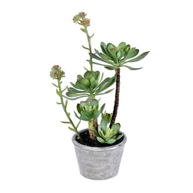 13.5" Artificial Green Succulent in Paper Pot