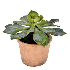 9" Artificial Succulent in Paper Pot