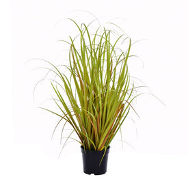 Vickerman 24" PVC Artificial Potted Mixed Brown Grass.