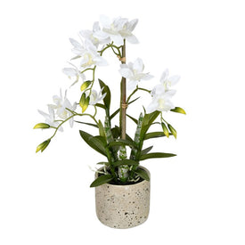 19" Artificial Deluxe Potted Cycnoches