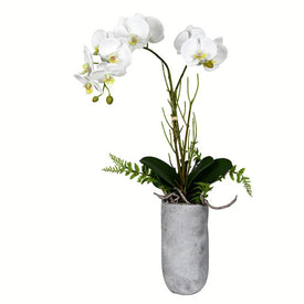 17" Artificial White Butterfly Orchid