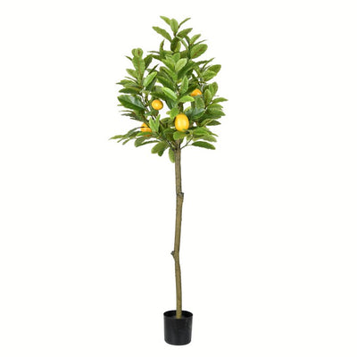 Product Image: TB190255 Decor/Faux Florals/Plants & Trees