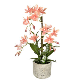 19" Artificial Deluxe Potted Cycnoches