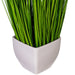 FV190216 Decor/Faux Florals/Plants & Trees