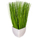 FV190216 Decor/Faux Florals/Plants & Trees