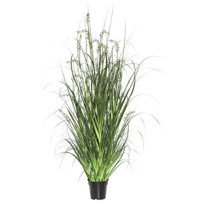 Product Image: TN171260 Decor/Faux Florals/Plants & Trees