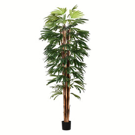 7' Artificial Potted Rhaphis Tree