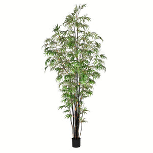 TB190195 Decor/Faux Florals/Plants & Trees