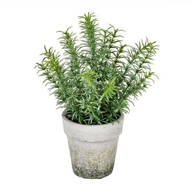 12.5" Artificial Potted Green Plant