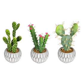 10" Artificial Green Cactus Arrangements Set of 3