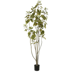 6' Artificial Green Potted Cotinus Coggygria Tree