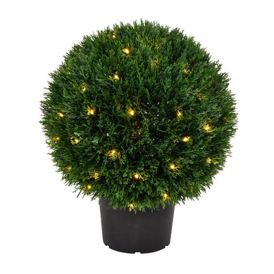 Product Image: TP171420LED Decor/Faux Florals/Plants & Trees