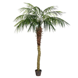 6' Artificial Potted Phoenix Palm Tree