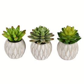 3.5" Artificial Green Succulent in Container Set of 3