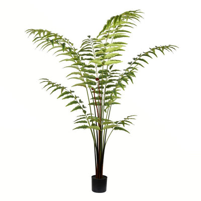 Product Image: TB191160 Decor/Faux Florals/Plants & Trees