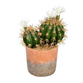 9" Artificial Green Cactus in Clay Pot
