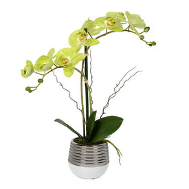 19.5" Artificial Green Phalaenopsis in Metal Pot