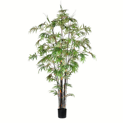 Product Image: TB190170 Decor/Faux Florals/Plants & Trees