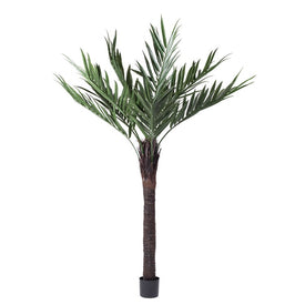 72" Artificial Kentia Palm