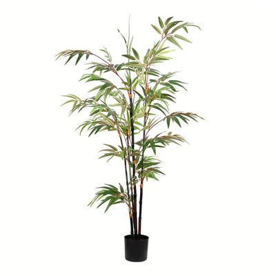 Product Image: TB190140 Decor/Faux Florals/Plants & Trees