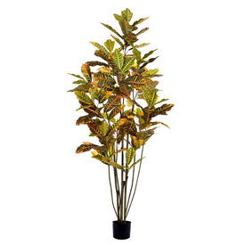 6' Potted Artificial Green and Orange Cronton Tree