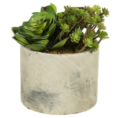 Product Image: FE073201 Decor/Faux Florals/Plants & Trees