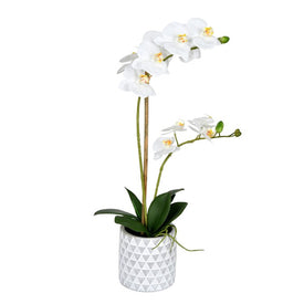 21" Artificial Potted Real Touch White Phalaenopsis Spray