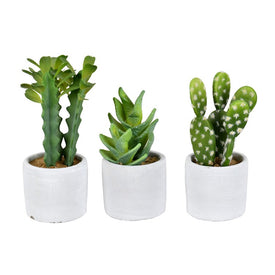 7" Potted Artificial Cactus Plants Assorted Set of 3