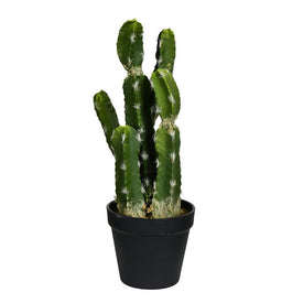 14" Artificial Green Potted Cactus
