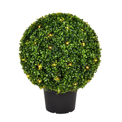 Product Image: TP171320LED Decor/Faux Florals/Plants & Trees