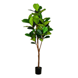 6' Artificial Green Fiddle Tree in Black Planter's Pot