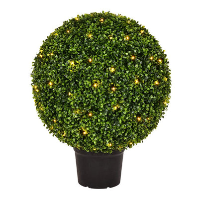 Product Image: TP171324LED Decor/Faux Florals/Plants & Trees