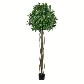 6' Artificial Potted Bay Leaf Tree