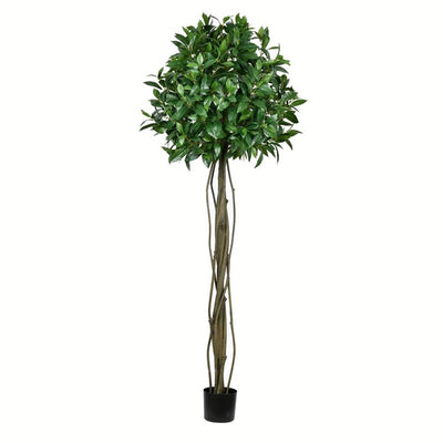 Product Image: TB190360 Decor/Faux Florals/Plants & Trees