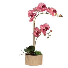 18" Artificial Mauve Phalaenopsis Orchid and Succulent Arrangement