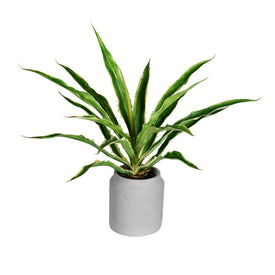 23" Artificial Potted Yucca Plant in Classic White Ceramic Pot